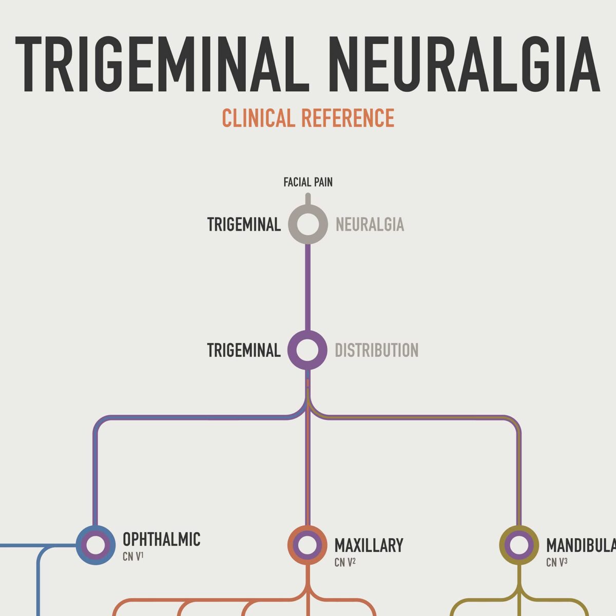 Trigeminal Nerve Set with trigeminal nerve anatomy and trigeminal neuralgia clinical reference charts.