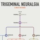 Trigeminal Nerve Set anatomy chart for clinics