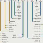 Peripheral Nerves Set anatomy chart for clinics