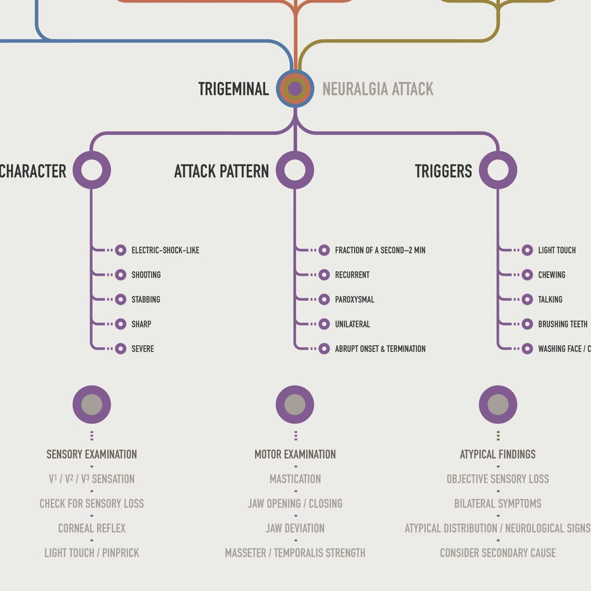 Trigeminal Nerve Set with trigeminal nerve anatomy and trigeminal neuralgia clinical reference charts.
