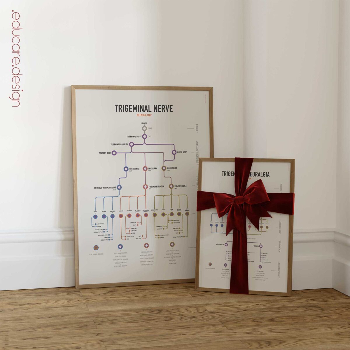 Trigeminal Nerve Set with trigeminal nerve anatomy and trigeminal neuralgia clinical reference charts.