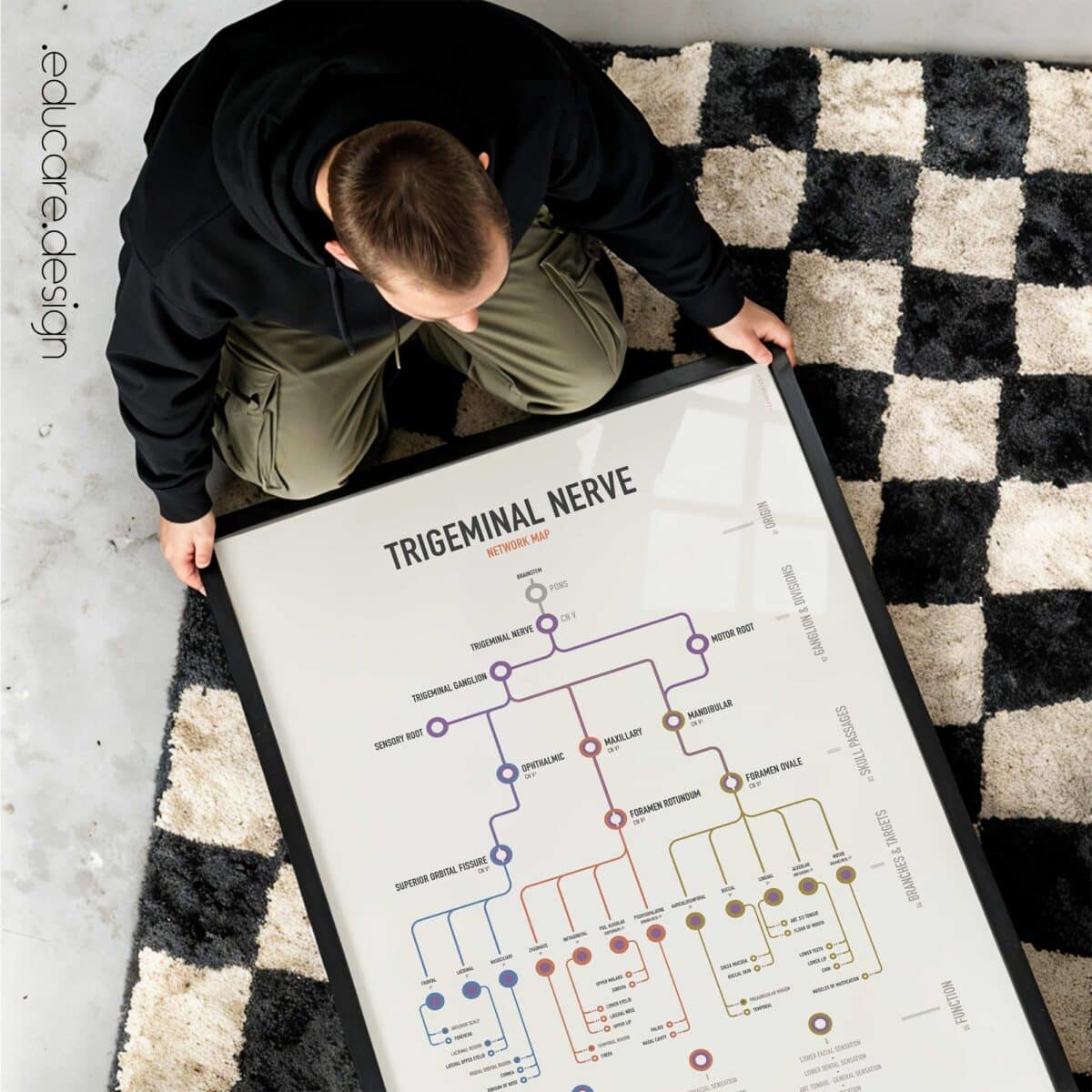 Trigeminal Nerve Set with trigeminal nerve anatomy and trigeminal neuralgia clinical reference charts.