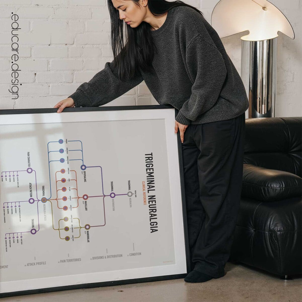 Trigeminal Nerve Set with trigeminal nerve anatomy and trigeminal neuralgia clinical reference charts.