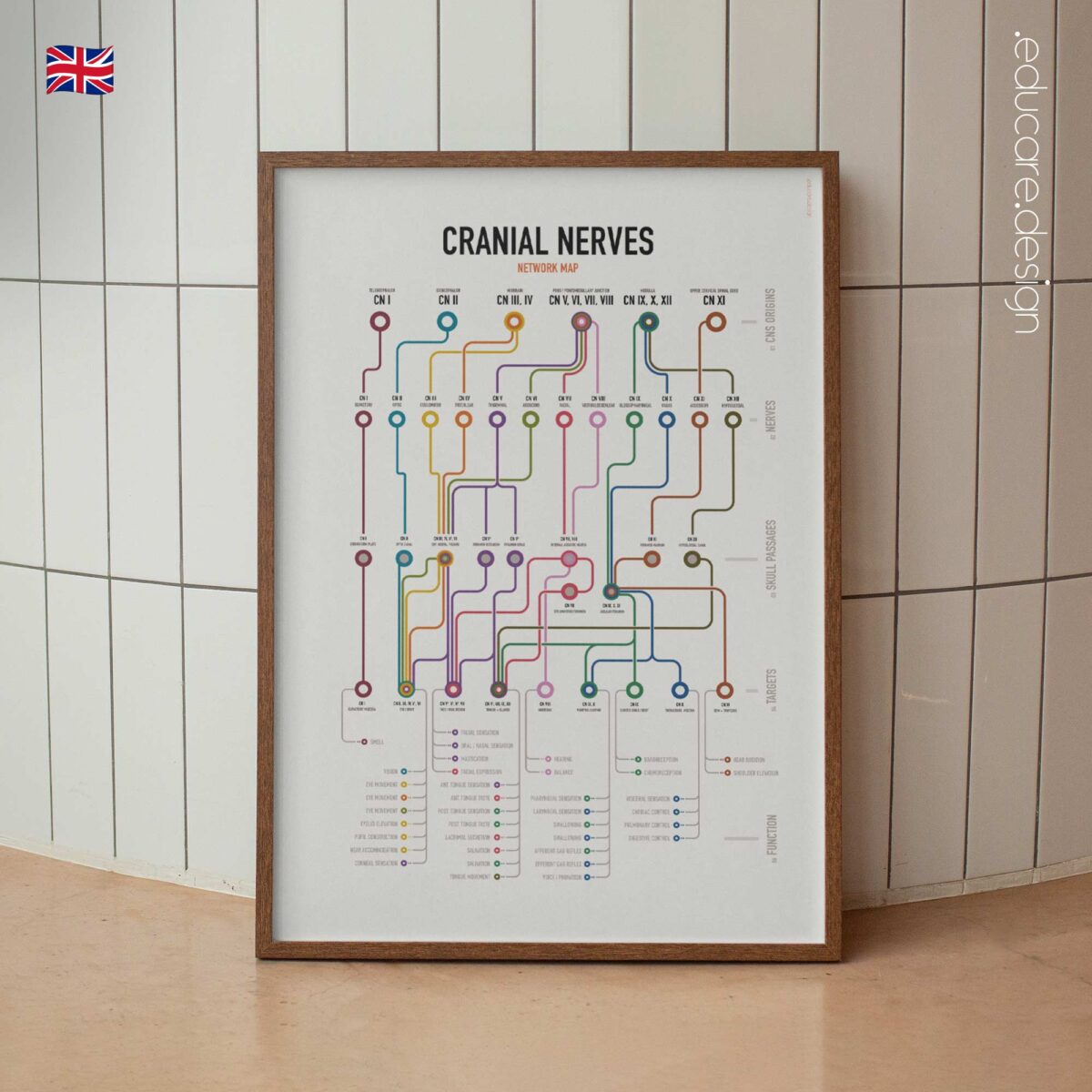 Cranial Nerves Network Map