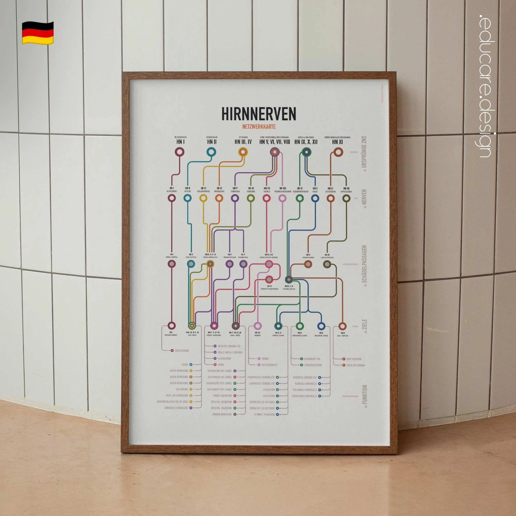 Netzwerkkarte der Hirnnerven Anatomie-Chart für Praxen und Kliniken Netzwerkkarte der Hirnnerven Anatomie-Chart für Praxen und Kliniken