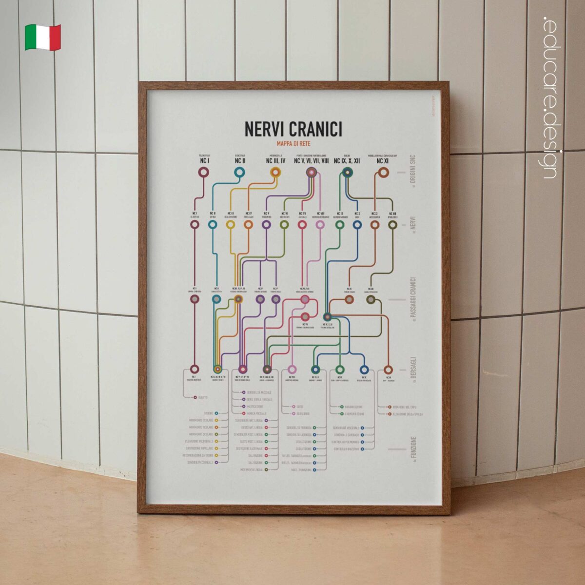Cranial Nerves Network Map