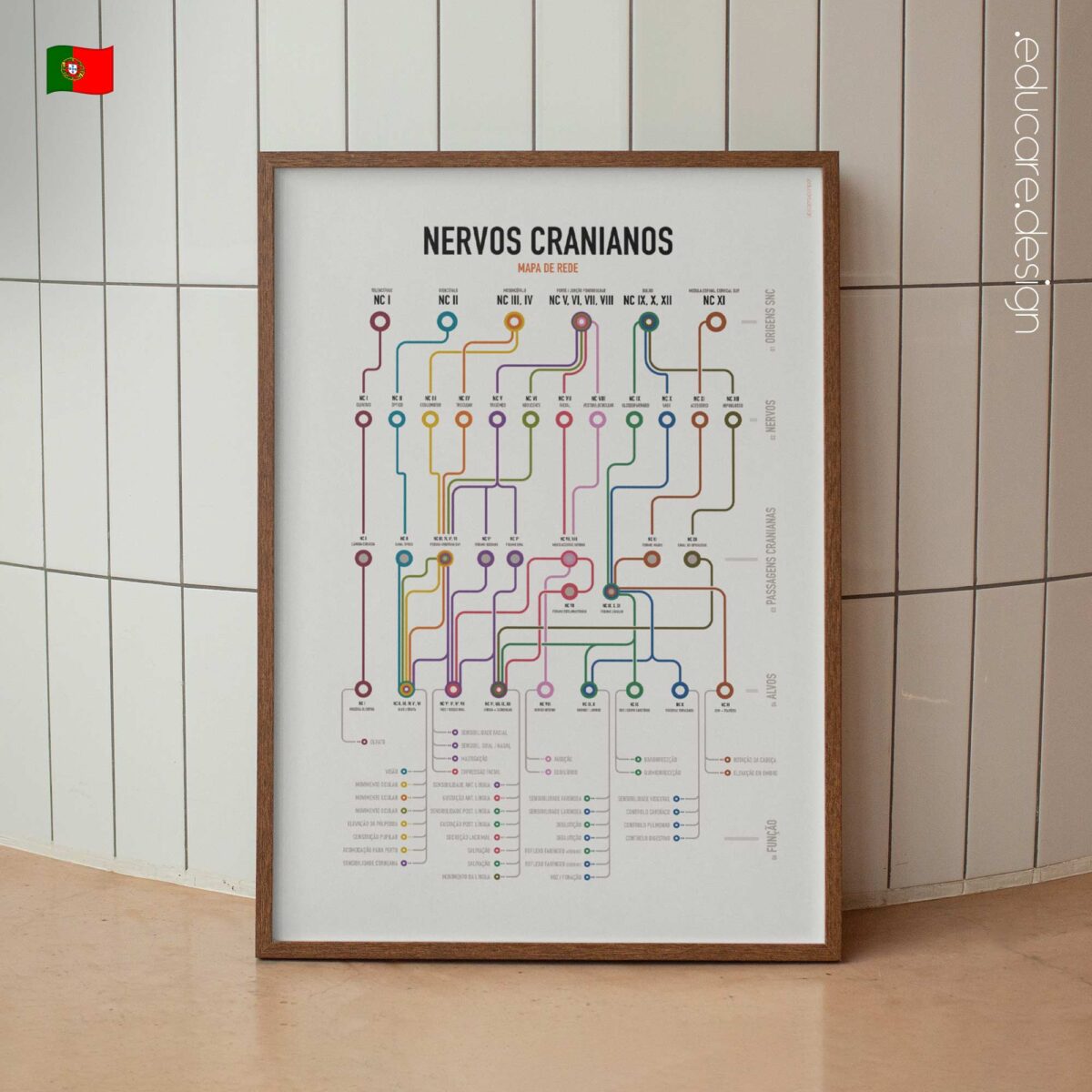 Cranial Nerves Network Map