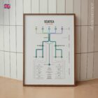 Sciatica Clinical Testing Reference anatomy chart for clinics