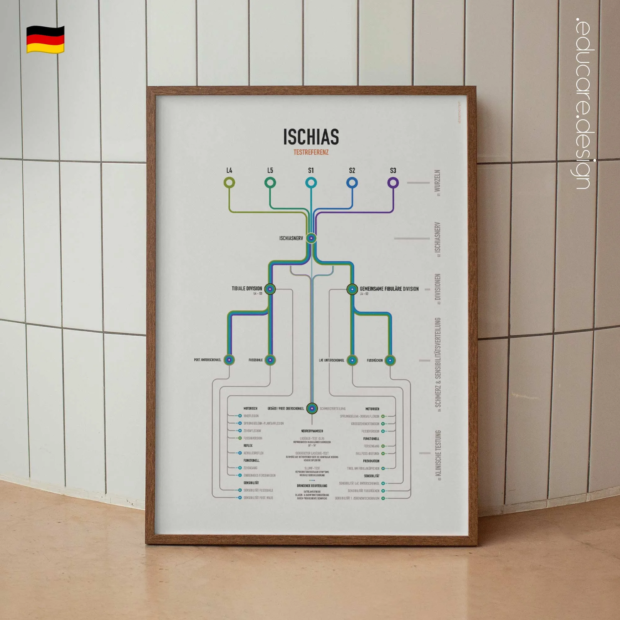 Ischias Klinische Testreferenz Anatomie-Chart für Praxen und Kliniken