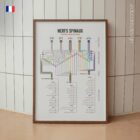 Nerfs Spinaux Évaluation Clinique Radiculaire planche anatomique pour cabinets et cliniques