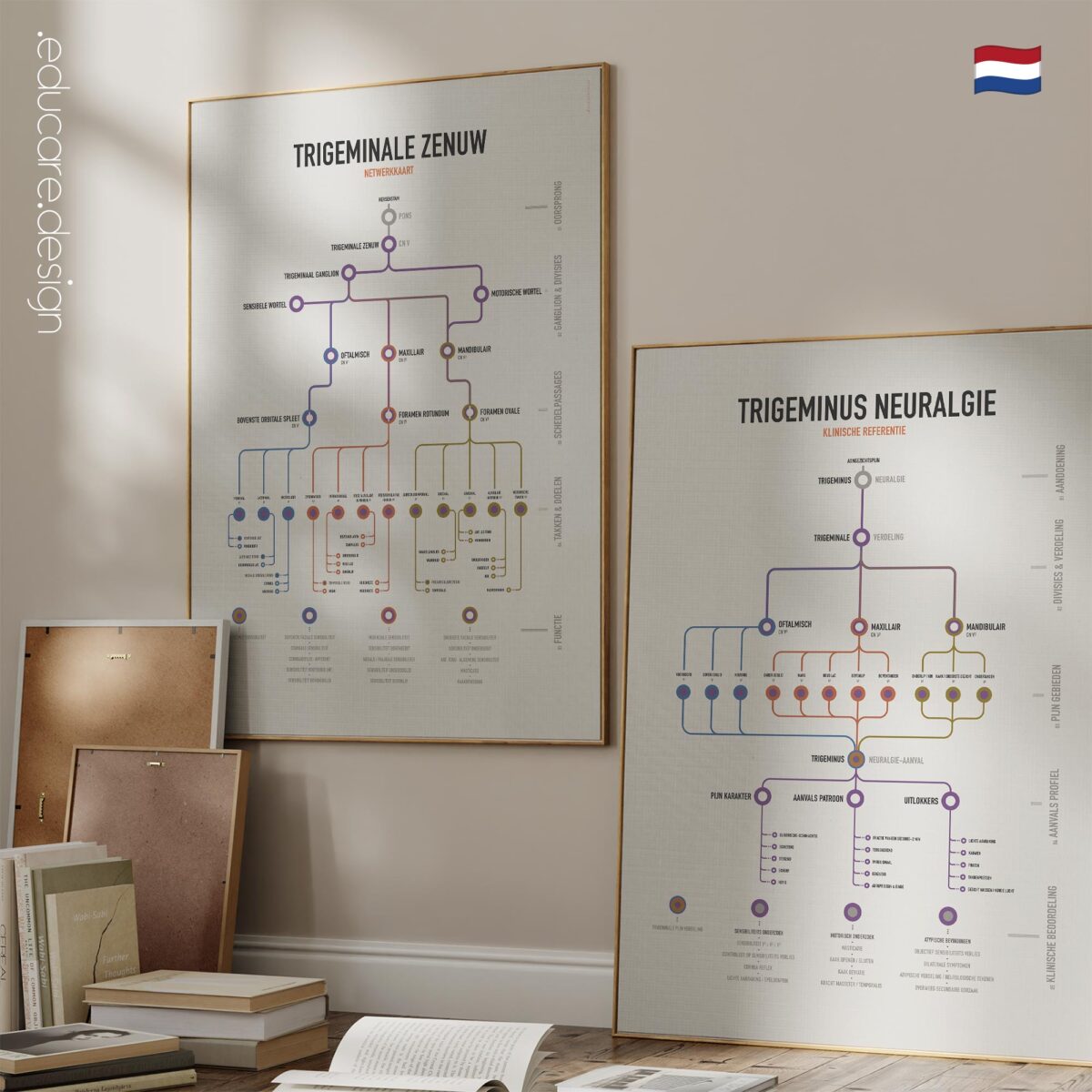 Trigeminal Nerve Set with trigeminal nerve anatomy and trigeminal neuralgia clinical reference charts.