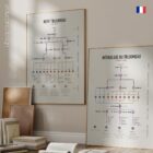Set du Nerf Trijumeau planche anatomique pour cabinets et cliniques
