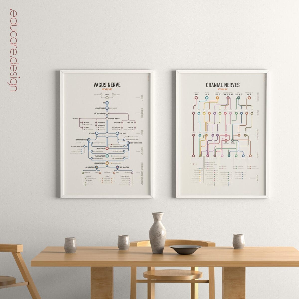 Vagus Nerve and Cranial Nerves Network Maps