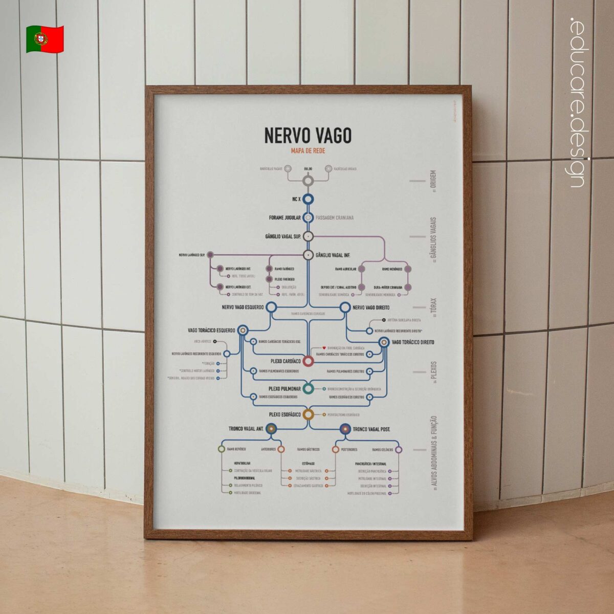 Mappa di Rete del Nervo Vago