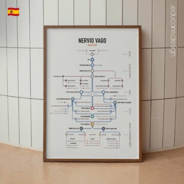 Mapa de Red del Nervio Vago