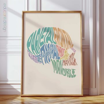 Craniofacial Muscles anatomy chart for clinics