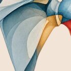 Chromatic Shoulder anatomy chart for clinics
