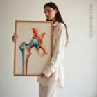 Chromatic Hip anatomy chart for clinics