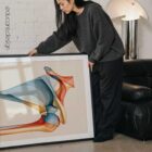 Chromatic Shoulder anatomy chart for clinics